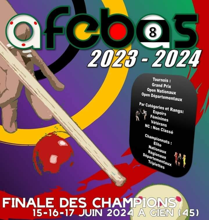 Les Goos Pool 6 ont rendez-vous avec la Finale des Champions